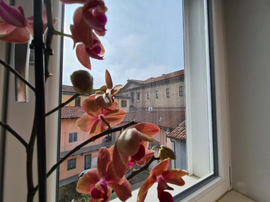 Cuore Di Alba Charming Apartment Alba (Piedmont) Exterior foto